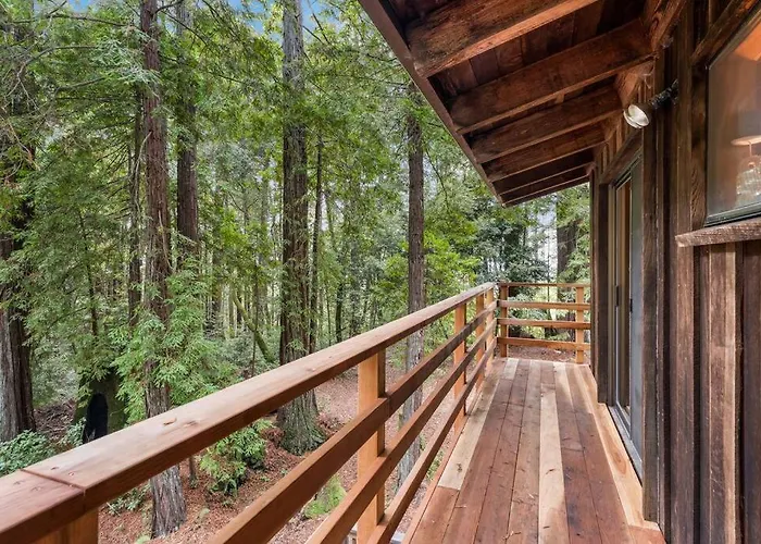 Grandma\'S Cabin By The Sea